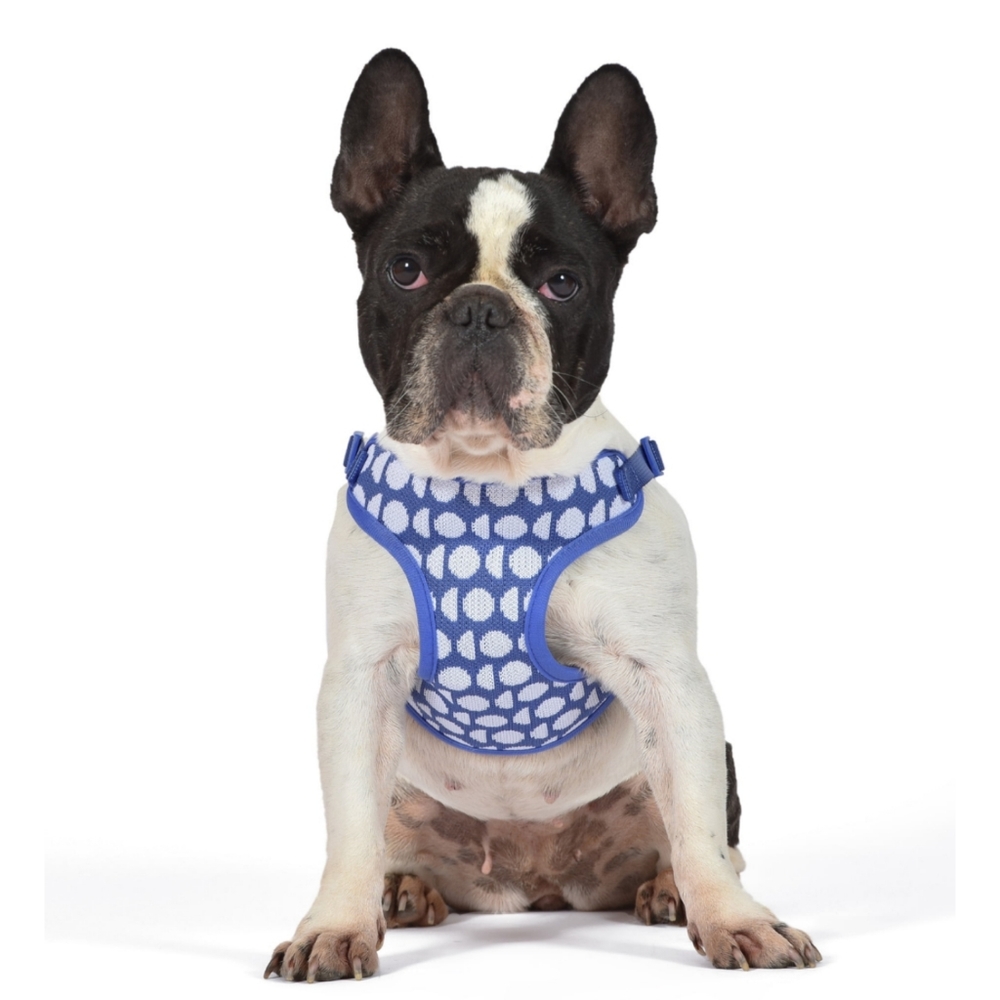 Dog Harness step in style size Medium blue